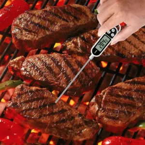 Digital Food Thermometer